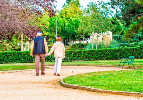 Ashingdon Hall taking trips to local parks, being part of the community